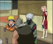 Team 7